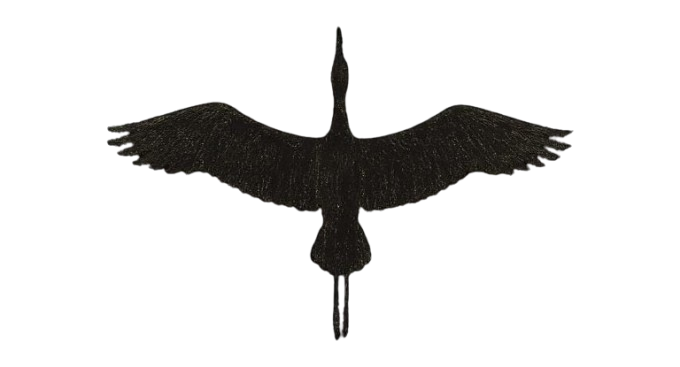 Flying Bird
